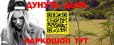 гашик Будённовск